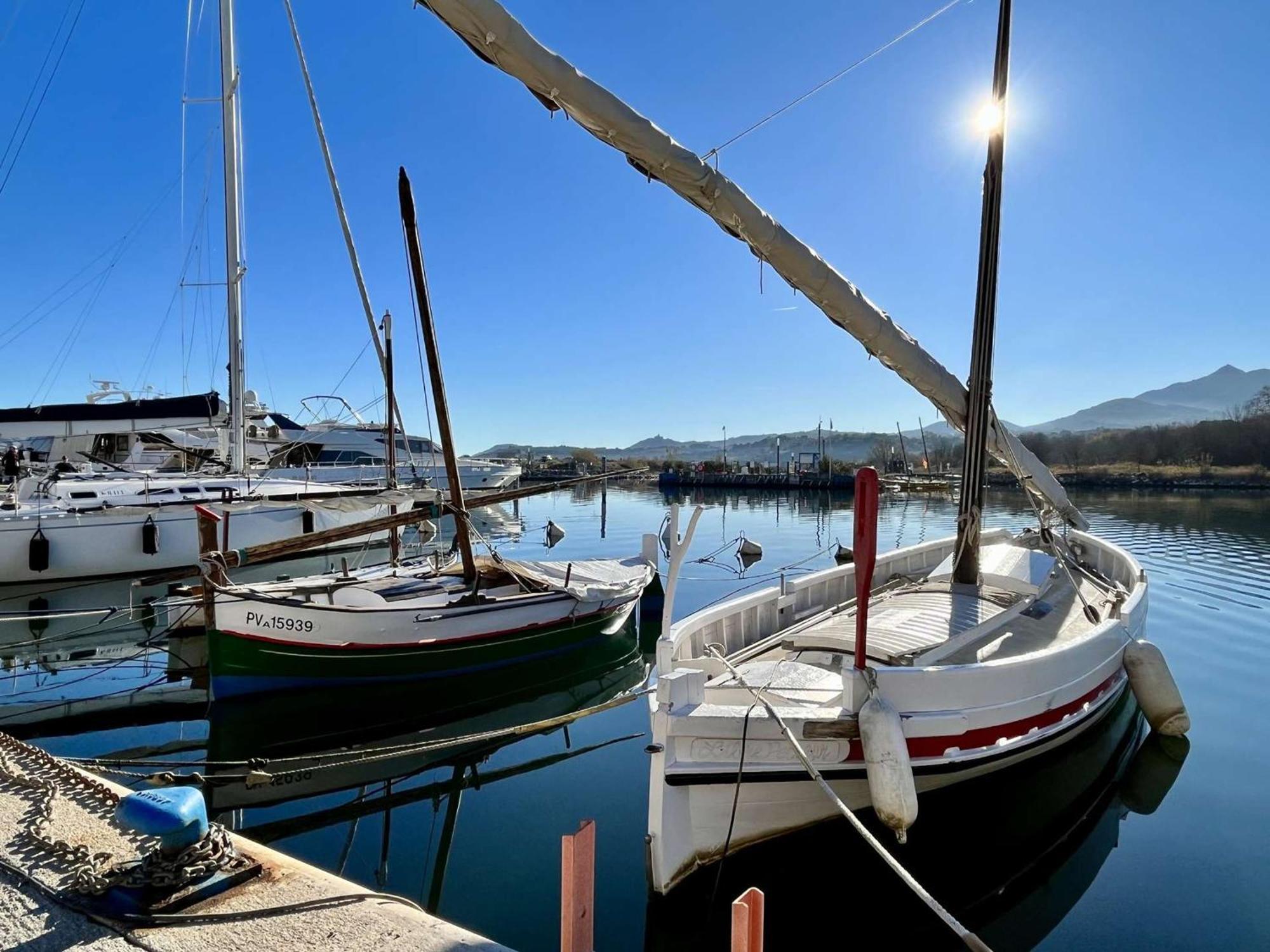 Appartement Argelès-sur-Mer, 2 pièces, 4 personnes - FR-1-225-56 Extérieur photo
